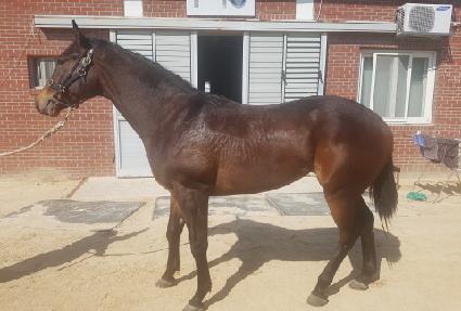 ����ǼҸ� ����