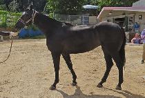 ��ū��Ÿ�� (ROCK��N��ROLL TIME) ����