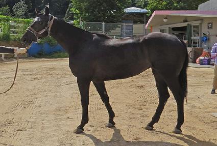 ��ū��Ÿ�� ����