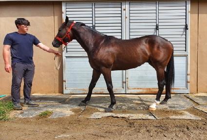 �̶���� ����