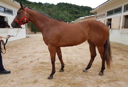 ���̴� ����