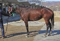 ���۹��� (SUPER BIRD) ����