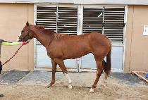 MILLION BANK picture