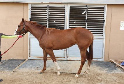 �и����ũ ����