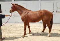 �����屺 (OBAEK JANGGUN) ����