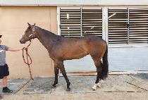 BURNING PARTY picture