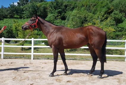 �λ��װ��ű� ����