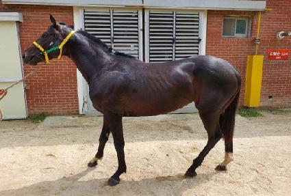 ���ο���Ǯ ����