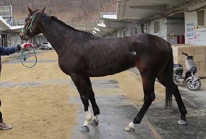 ����� ����