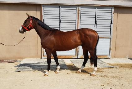 Ƽ���� ����