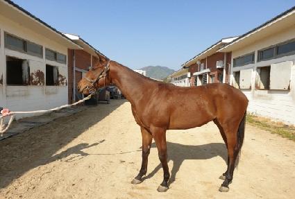 ����� ����