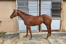 �����̼��Ӱ� (B.K. SUMMER GIRL) ����