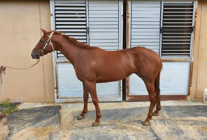 �����̼��Ӱ� ����