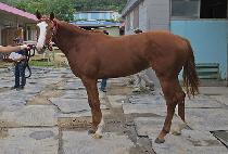 �мǵ��м� (FASHIONED PASSION) ����