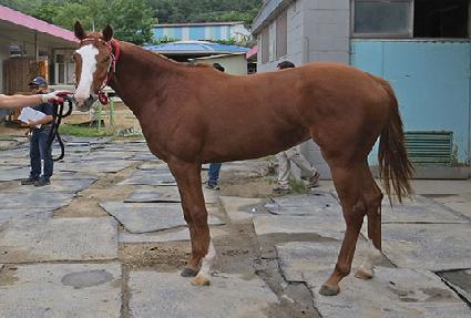 �мǵ��м� ����