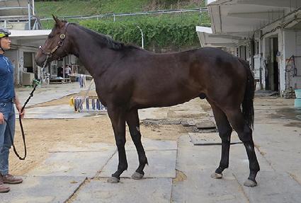 �����Ĵ� ����