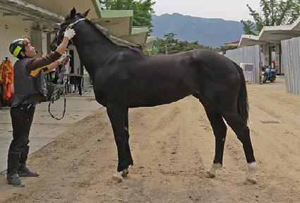 ���ִ�� ����