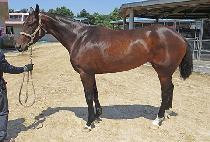 ��Ʈ�� (BEAT QUEEN) ����