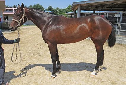 ��Ʈ�� ����