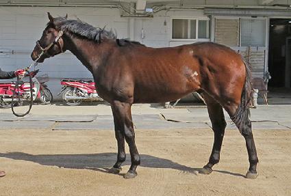 �ҿ��� ����