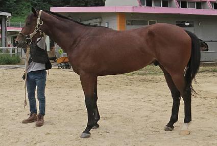 �׷��彺Ÿ ����