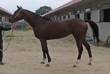 �ӴϽ��� ����