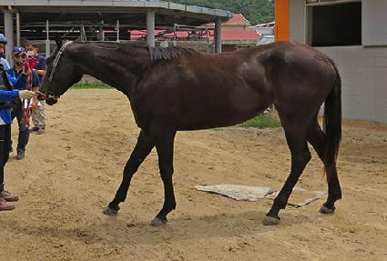 �������� ����