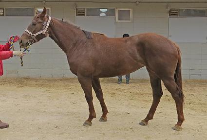 �йи�Ÿ�� ����