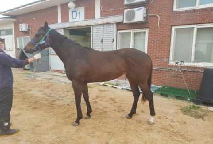 ���̵𷯺� ����