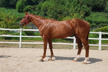 õ�ϳѹ��� ����