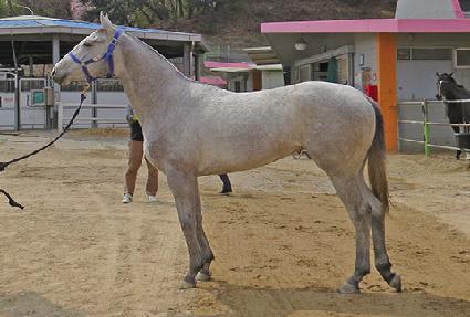 �����ǹ̼� ����