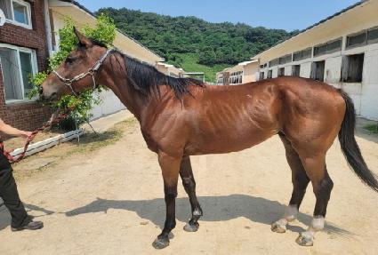 ��� ����