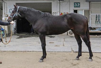 ���������� ����