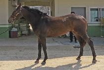 �ݼ����� (GEUMSEONG GANGJA) ����