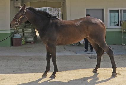 �ݼ����� ����