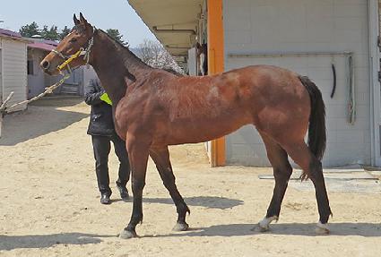 ��Ʈ���� ����