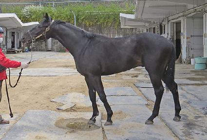 ����ȣ�� ����