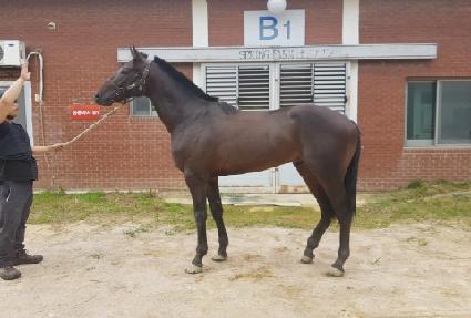 ����Ǯ����Ƽ ����