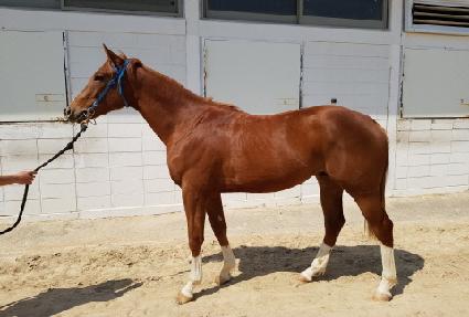 ����̺�ĸƾ ����