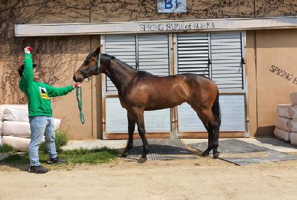 ����Ǯ��ٳ� ����