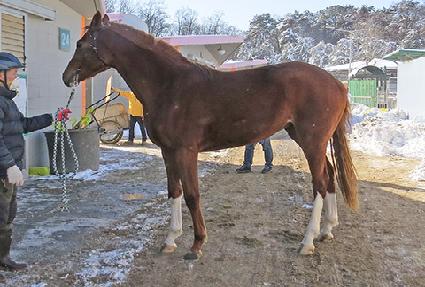 ����Ǯ���� ����