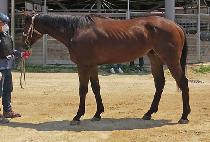 ���ظ�ġ (YOUNG AND RICH) ����