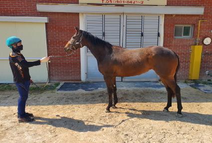 ���̽�Ÿ ����