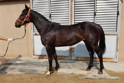 ���̵��� ����