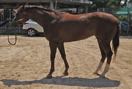 ���� ����