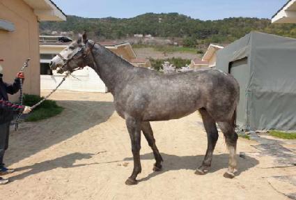 õ����� ����