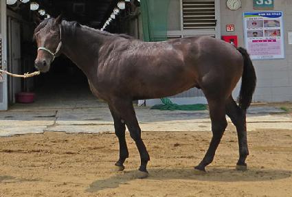 ����� ����