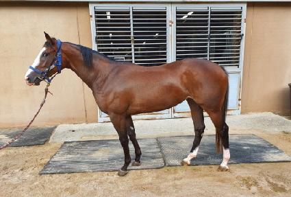 ����ũ�Ƶ� ����