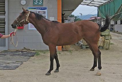 �̽�ƮƮ�ν� ����