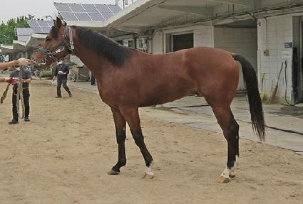 �������� ����